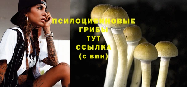 мдпв Мегион