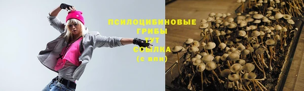 тгк Медногорск