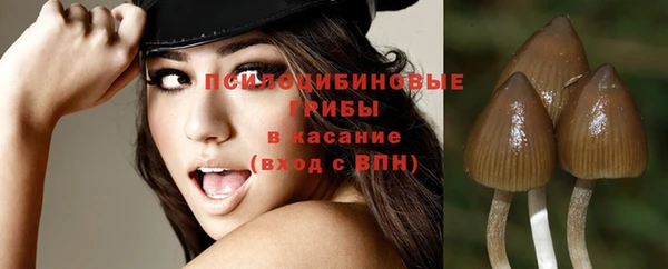 мдпв Мегион