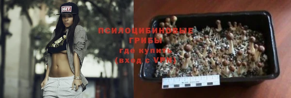 тгк Медногорск