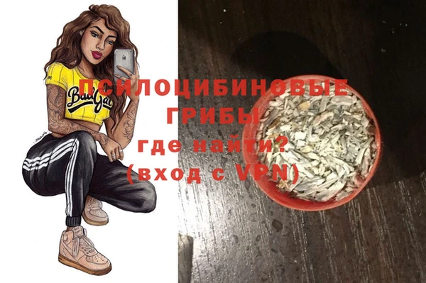 мдпв Мегион