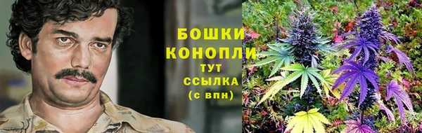 тгк Медногорск