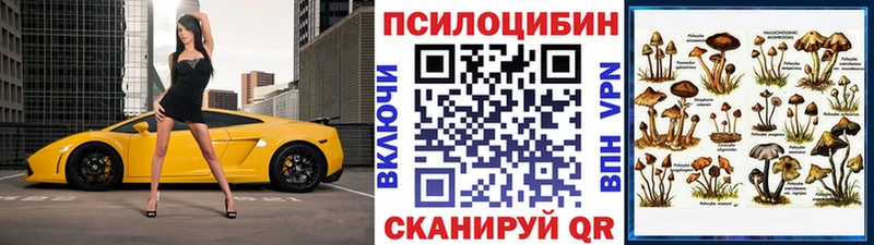 Псилоцибиновые грибы мухоморы  продажа наркотиков  мориарти телеграм  Назрань 