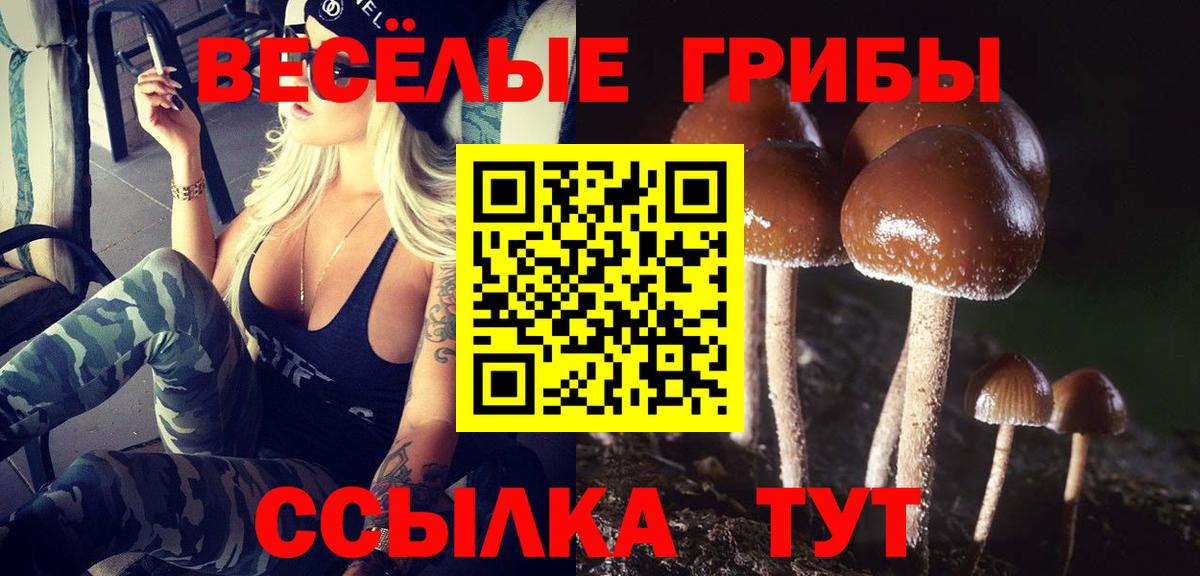 Галлюциногенные грибы ЛСД  Вход с VPN  Назрань 